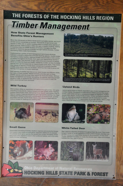 Timber Management sign